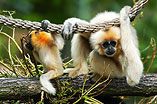 030502-Zoo-141.jpg