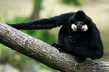 030502-Zoo-151.jpg