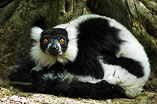 030502-Zoo-164.jpg