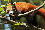 030502-Zoo-248.jpg