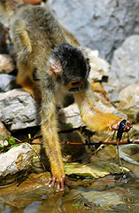 030502-Zoo-074.jpg