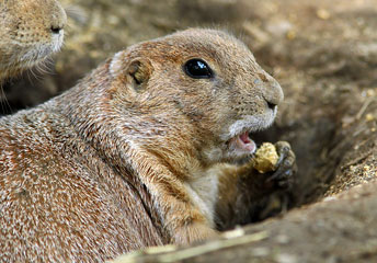 usa-2011-23-0766.jpg